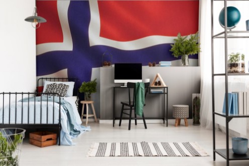 Image de Norway Flag Waving - Germany Background
