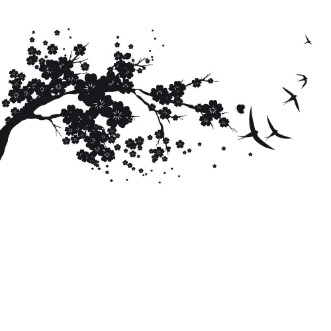 Afbeeldingen van Black silhoueteflowers tree  on a white