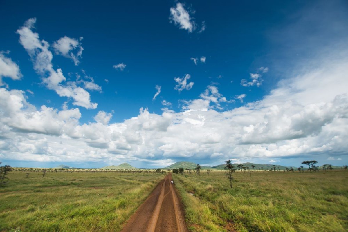 Bild på Serengeti Safari Landscape Tanzania Africa