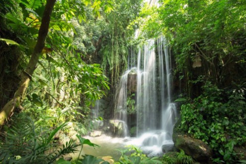 Bild på Waterfall in jungle