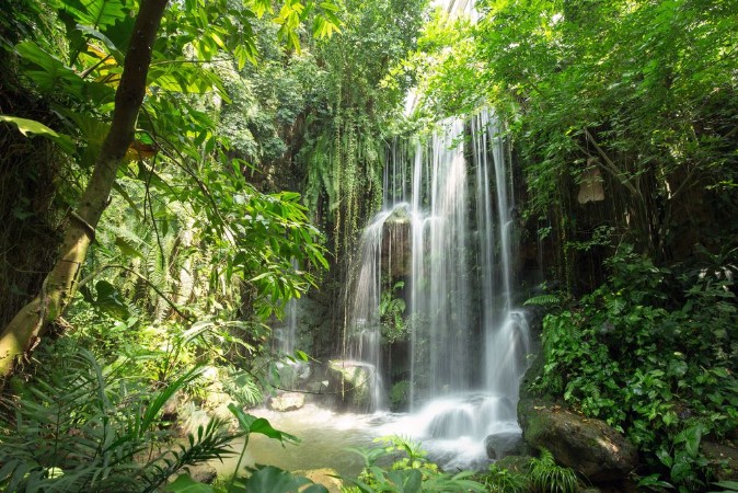 Waterfall in jungle photowallpaper Scandiwall