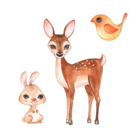 Bild på Hand drawn cute fawn bunny and bird Cartoon illustration isolated on white Watercolor set