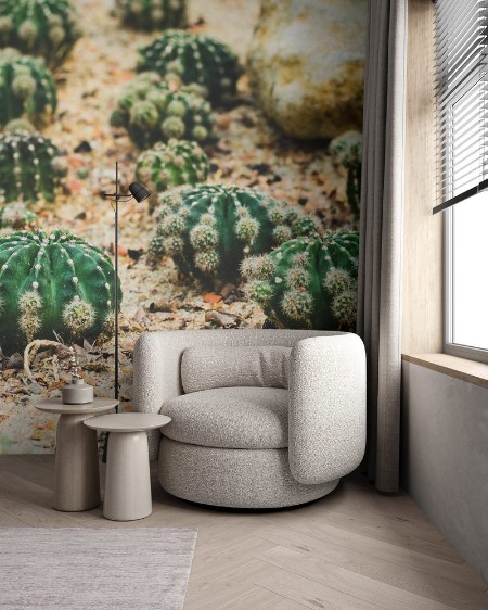 Afbeeldingen van Cactus decorate on sand with rock in cactus garden desert plant