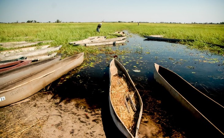 Bild på Landscape in Okavango