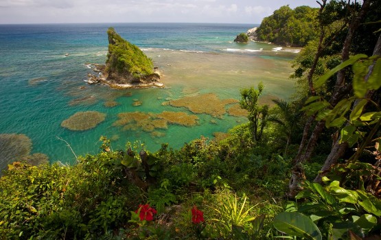 Picture of Fabulous reef view in dominica