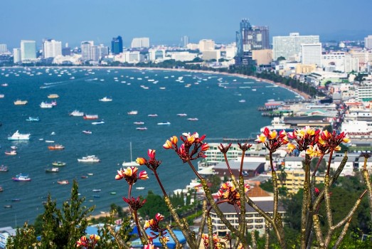 Picture of Flowers with out of focus view of Pattaya