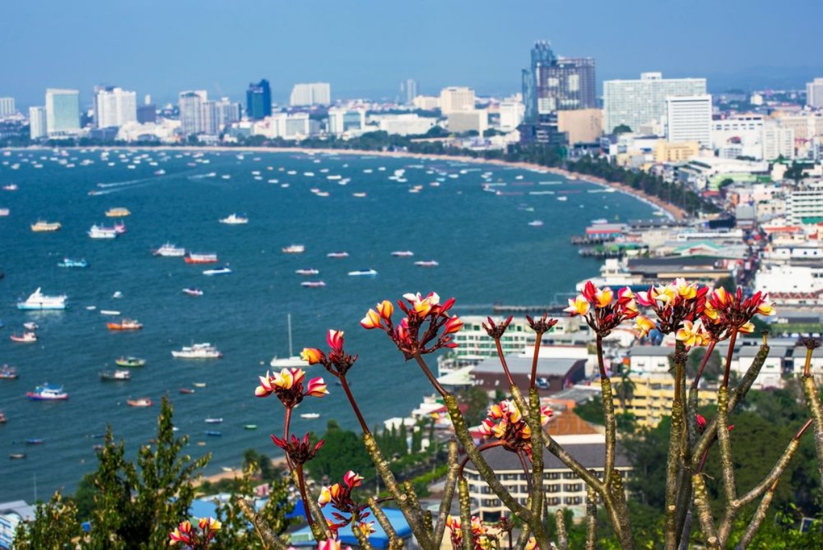 Image de Flowers with out of focus view of Pattaya