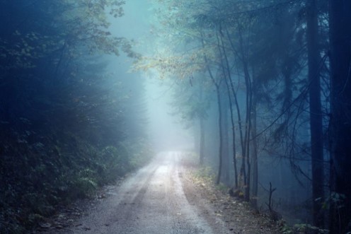 Afbeeldingen van Dreamy evening autumn color foggy forest road Scary dark blue green colored countryside woodland