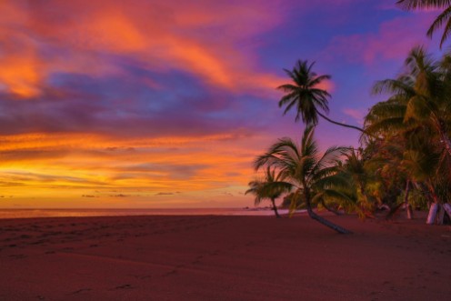 Picture of Vivid ocean sunset with clouds and palm trees
