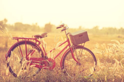 Image de Beautiful landscape image with Bicycle at summer grass fieldclassic bicycleold bicycle style for greeting Cards post card