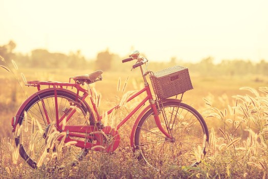 Bild på Beautiful landscape image with Bicycle at summer grass fieldclassic bicycleold bicycle style for greeting Cards post card