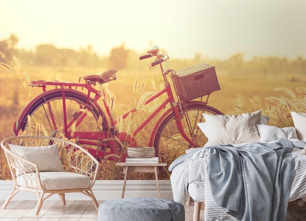 Afbeeldingen van Beautiful landscape image with Bicycle at summer grass fieldclassic bicycleold bicycle style for greeting Cards post card