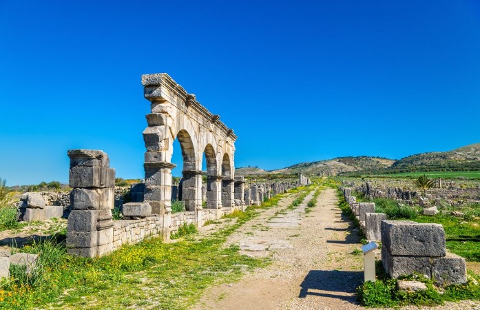 Picture of Decumanus Maximus the main street of Volubilis an ancient Roman town in Morocco