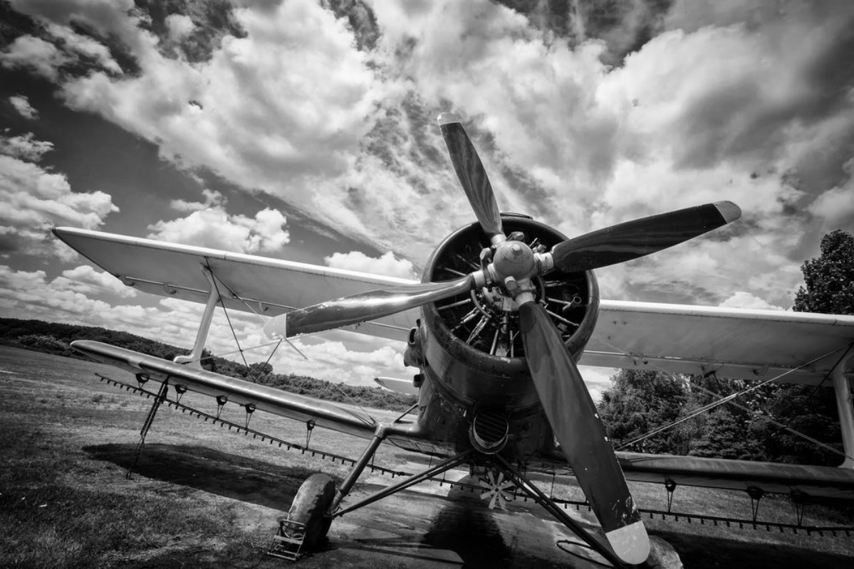 Afbeeldingen van Old airplane on field in black and white