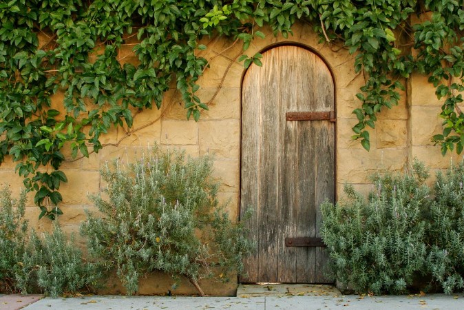 Picture of Rustic wooden doorway