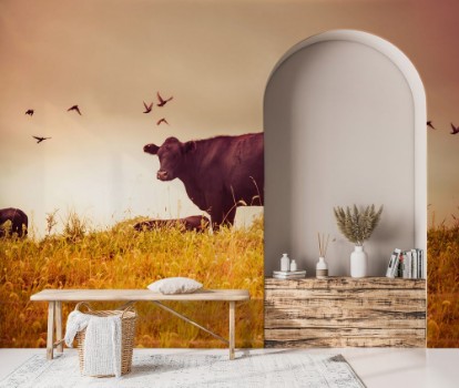 Picture of Cow grazing with birds vintage