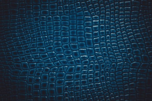 Afbeeldingen van Crocodile leather texture background Macro shot Stock image