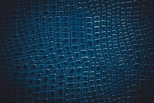 Bild på Crocodile leather texture background Macro shot Stock image
