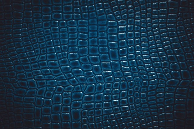 Picture of Crocodile leather texture background Macro shot Stock image