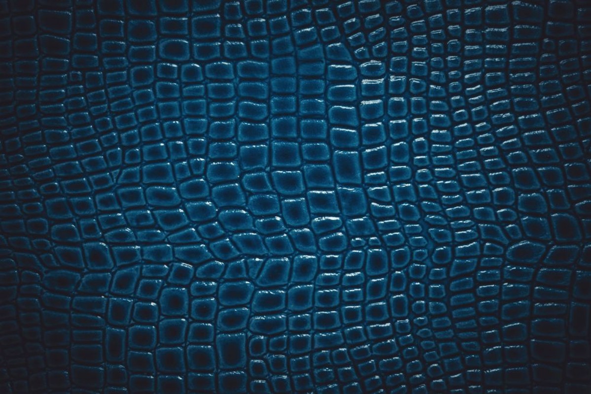 Afbeeldingen van Crocodile leather texture background Macro shot Stock image