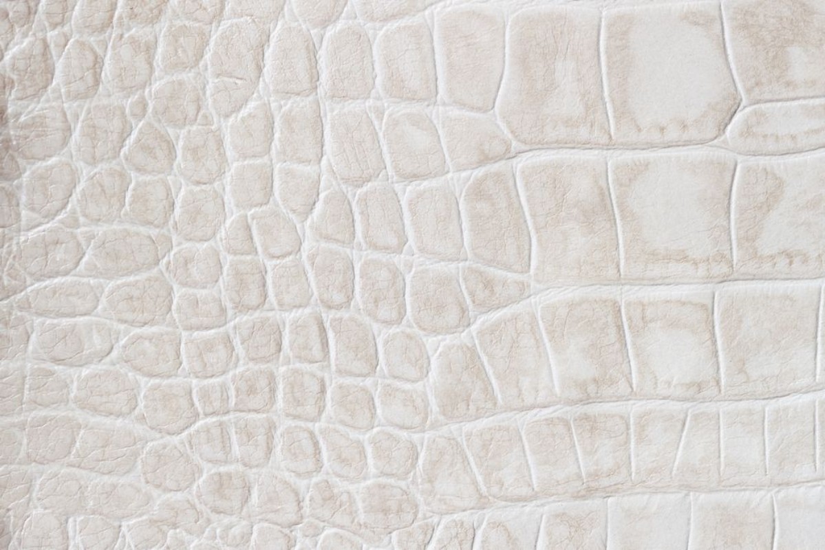 Afbeeldingen van Fashion cream scales macro exotic background embossed under the skin of a reptile crocodile Texture genuine leather close-up light tones trend