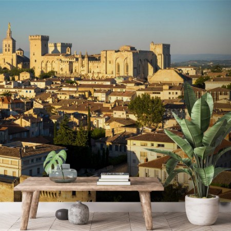 Picture of Exterior of Palais des Papes UNESCO World Heritage Site and church Avignon Vaucluse Provence France Europe