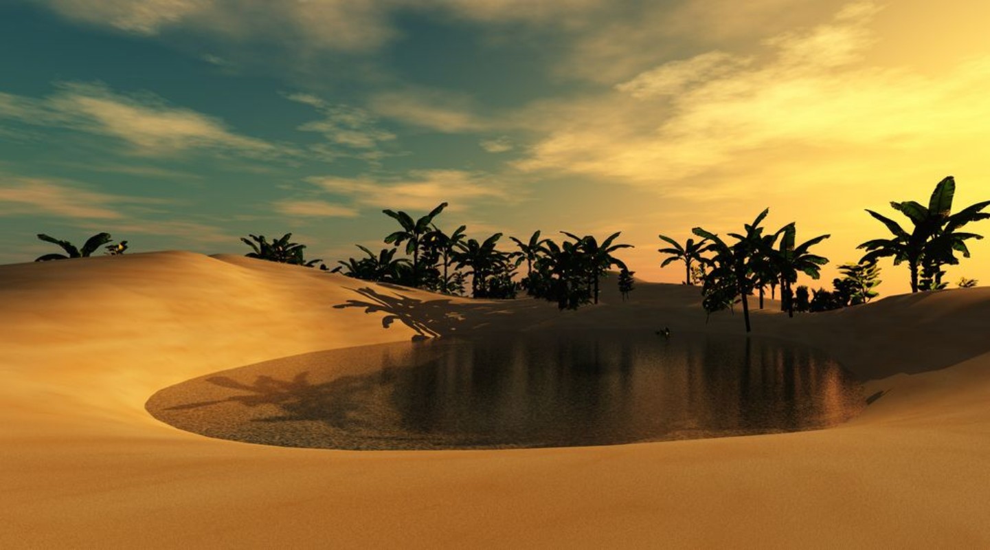 Afbeeldingen van Beautiful oasis in the sandy desert a sunset in the desert