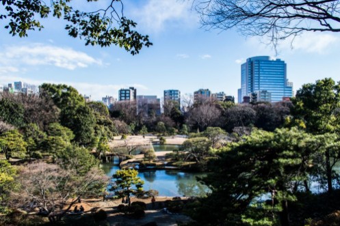 Afbeeldingen van Rikugien Garden in Tokyo