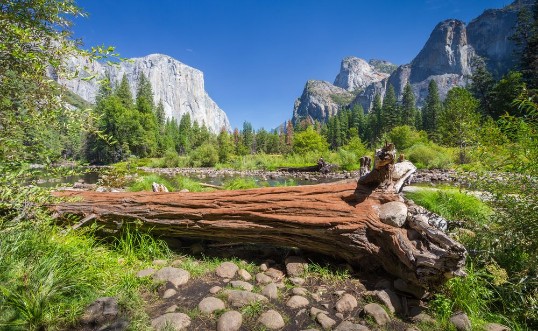 Afbeeldingen van Yosemite National Park in summer California USA
