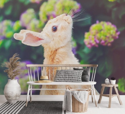 Afbeeldingen van Rabbit in front of a hydrangea bush