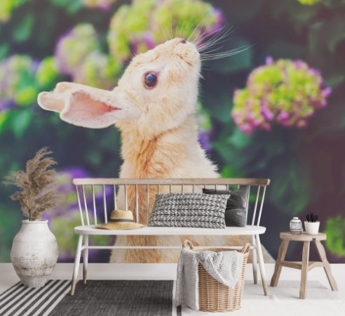 Image de Rabbit in front of a hydrangea bush