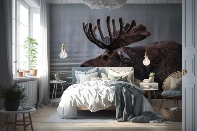 Picture of Bull Moose