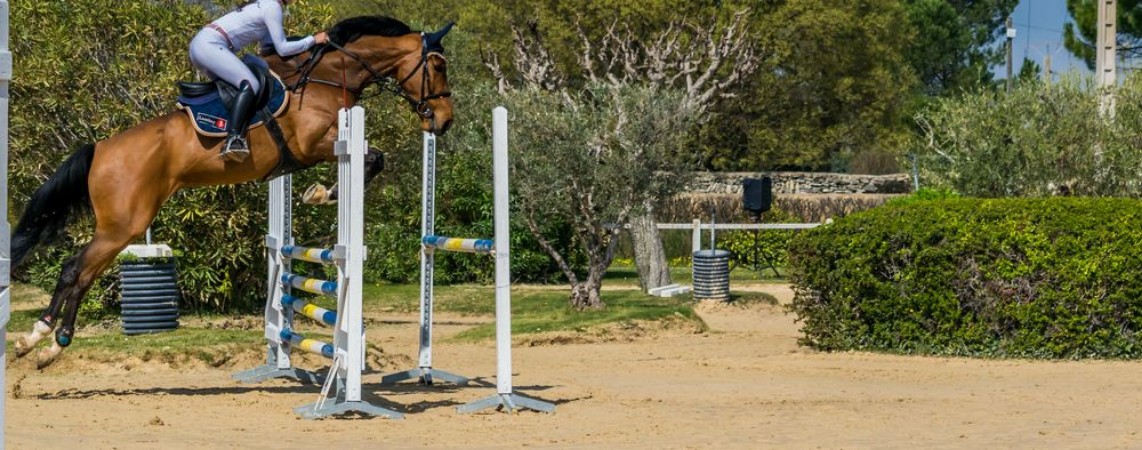 Picture of Equitationsaut dobstaclescomptition