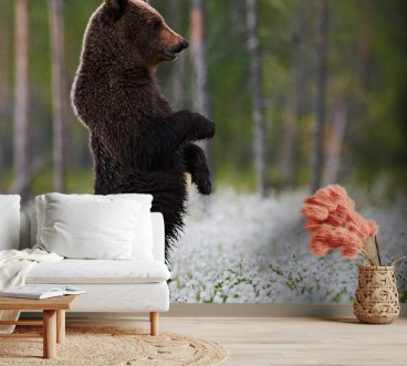 Picture of Bear standing among white flowers