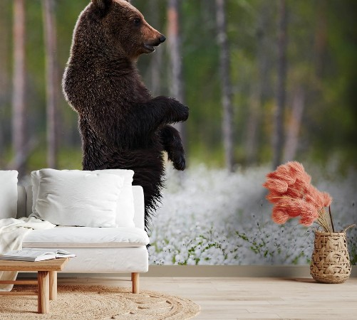 Bild på Bear standing among white flowers