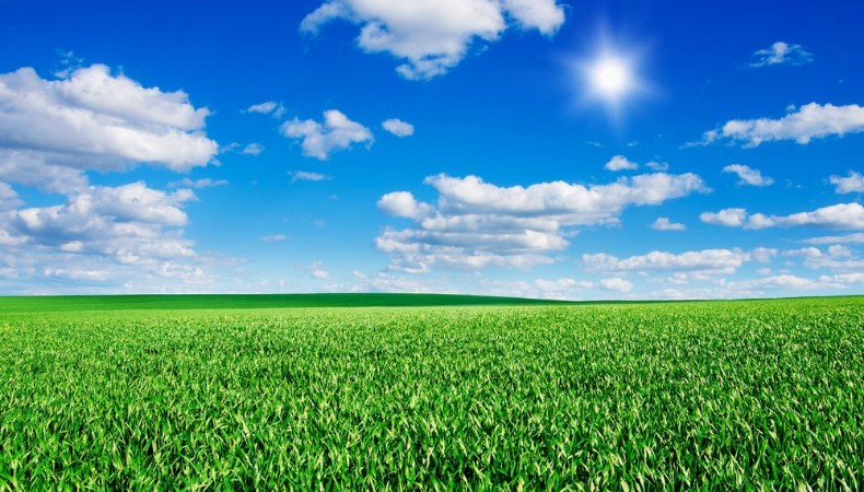 Bild på Image of green grass field and bright blue sky