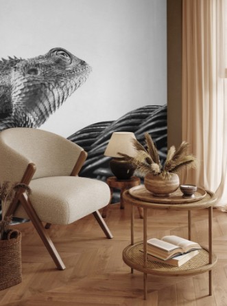 Afbeeldingen van Beautiful monochrome bearded Dragon lizard  resting on vine chair with white background