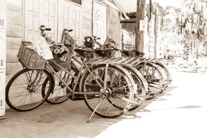 Afbeeldingen van A vintage bicycle with a flower