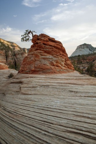 Afbeeldingen van View of nice giant rock in Zion  national park 
