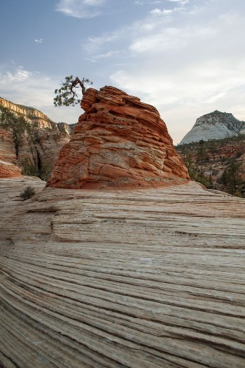 Bild på View of nice giant rock in Zion  national park 