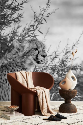 Afbeeldingen van Young Cheetah starring in black and white