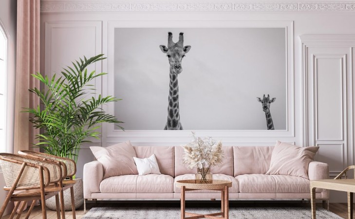 Afbeeldingen van Giraffe looking at the camera in black and white