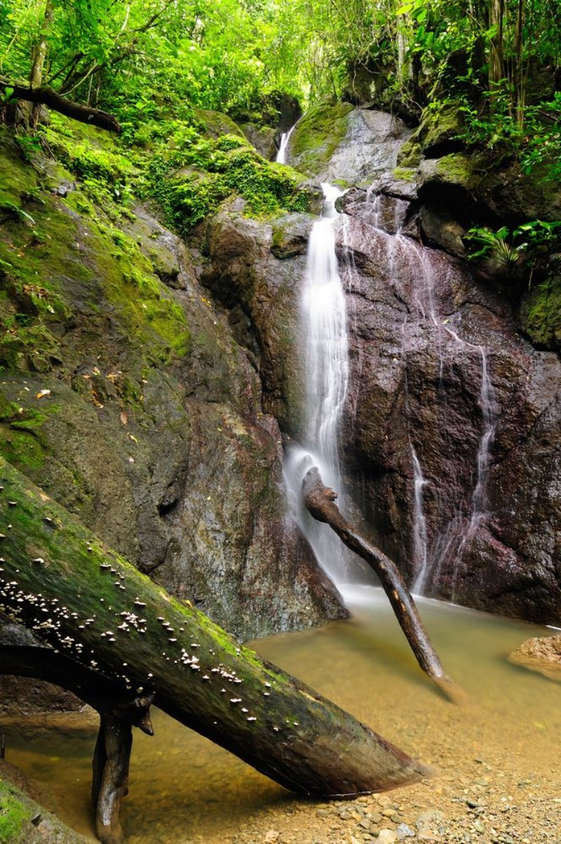 Picture of Darien jungle in Central America