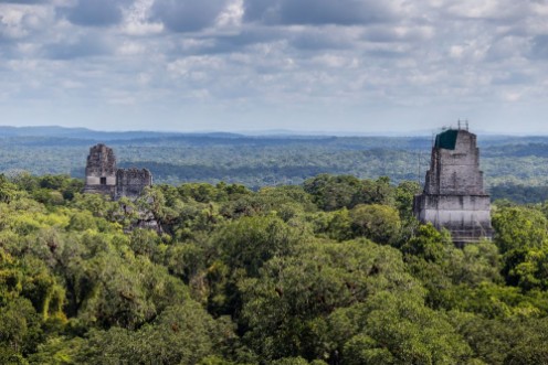 Afbeeldingen van Tops of Mayan ruins peek over tops of trees in Tikal Guatemala