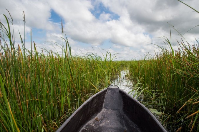 Afbeeldingen van Mokoro Canoe Trip in the Okavango Delta near Maun Botswana