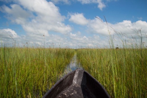 Bild på Mokoro Canoe Trip in the Okavango Delta near Maun Botswana