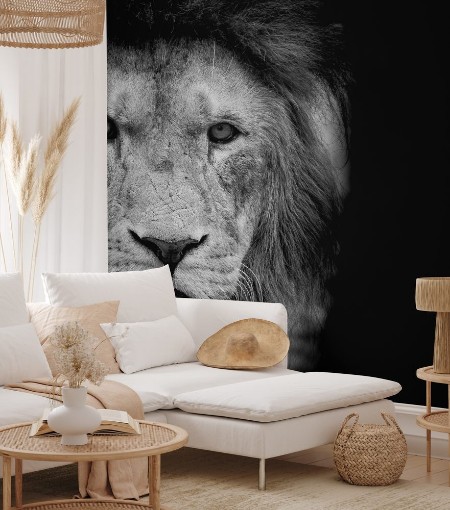 Picture of Black and White Lion