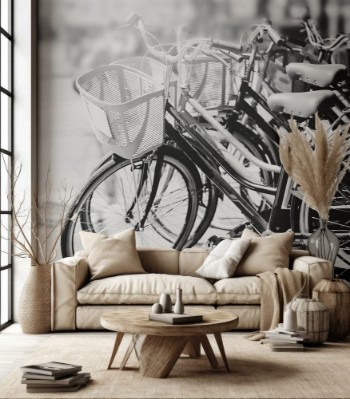 Bild på Black and white travel bicycle for rent in urban vintage color effect