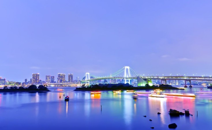 View of the Tokyo Bay and Rainbow Bridge at night in Tokyo photowallpaper Scandiwall