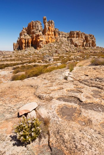 Bild på Desert scenery in Cederberg Wilderness South Africa
